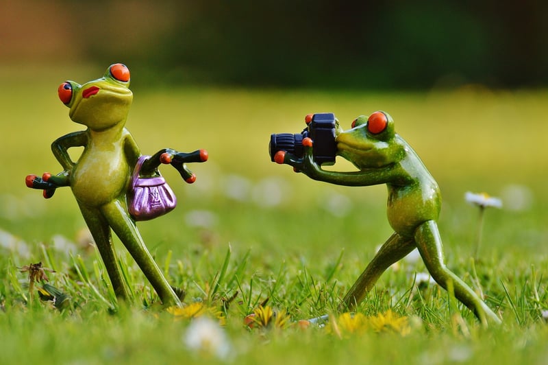 Celebrity Interview